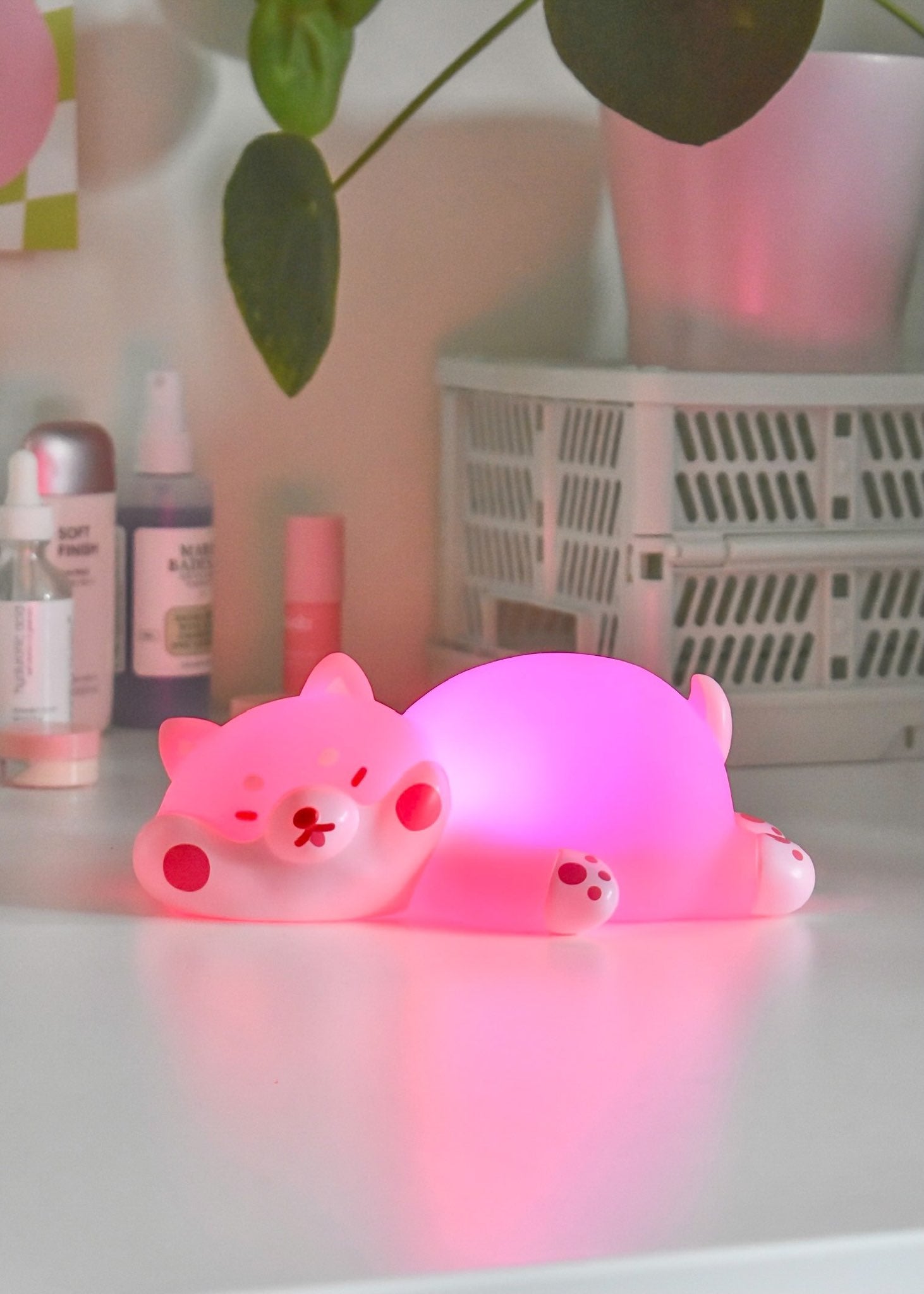 Shiba Night Light - Shopzoki
