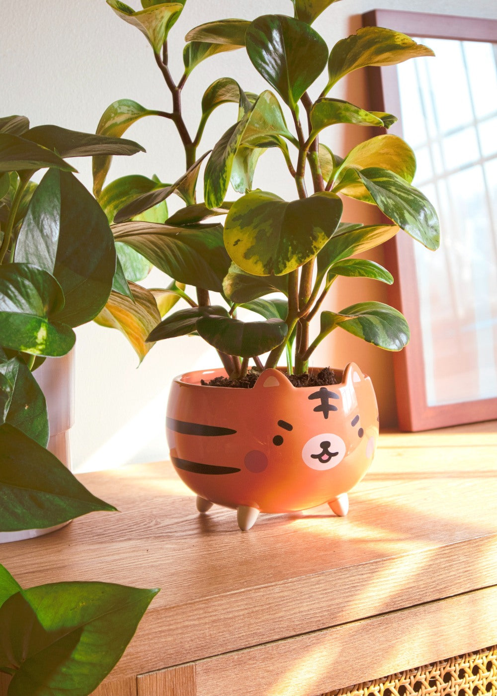 Tiger Planter - Shopzoki