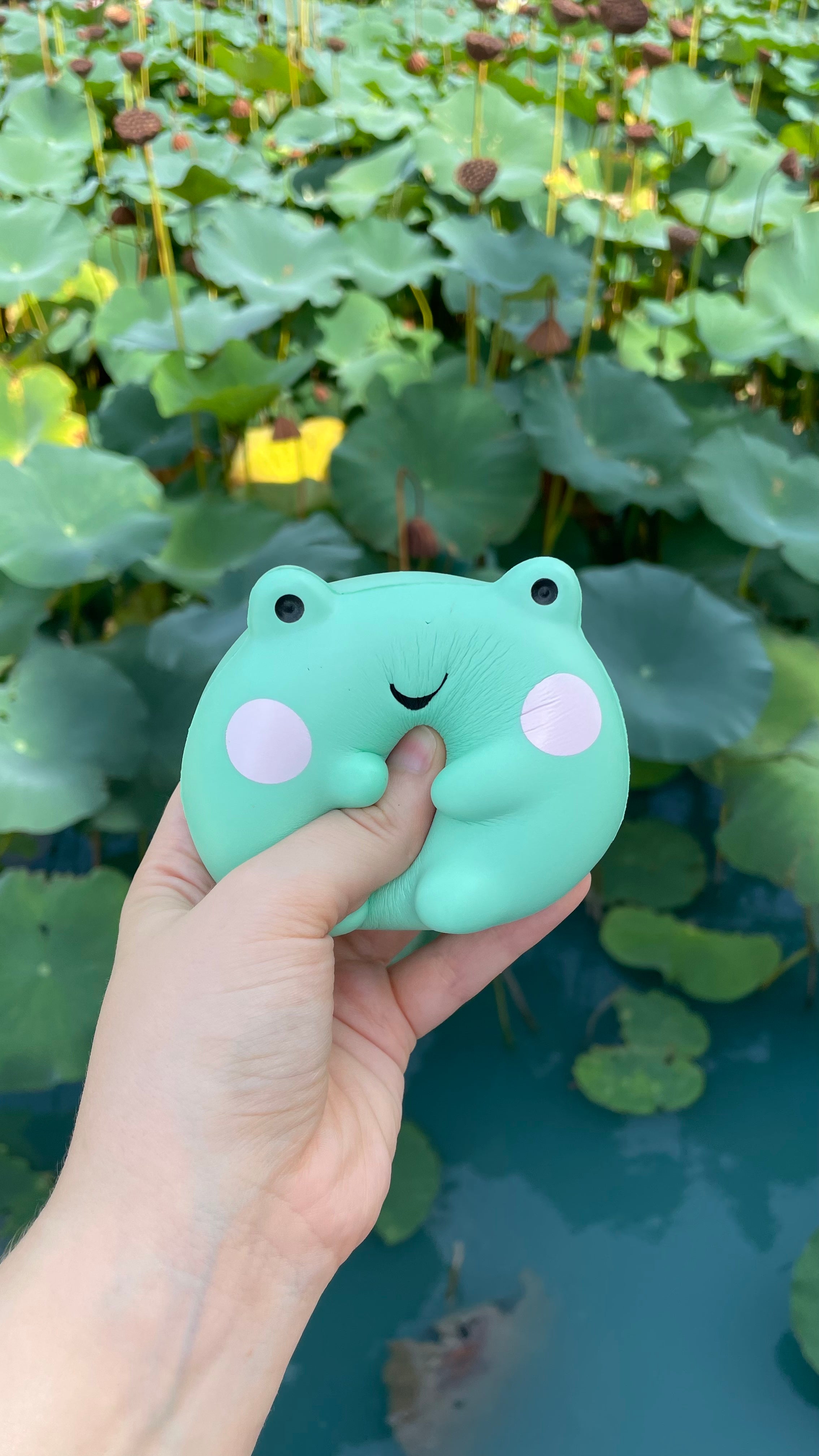 Ebbo Frog Squish Ball - Shopzoki