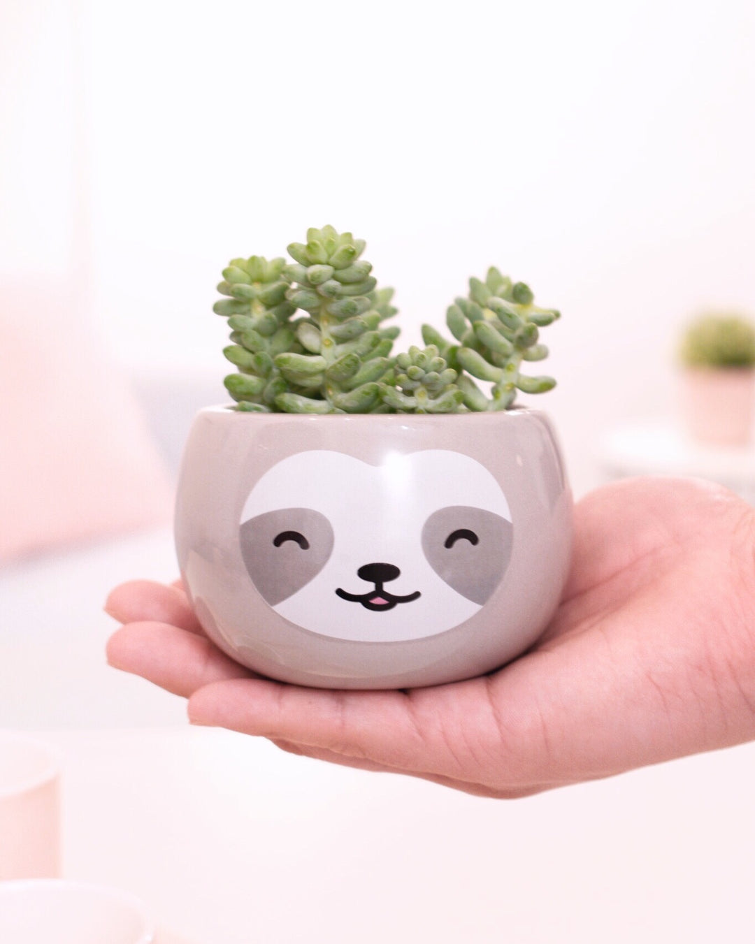 sloth succulent planter Sloth Plant Pot – Shopzoki