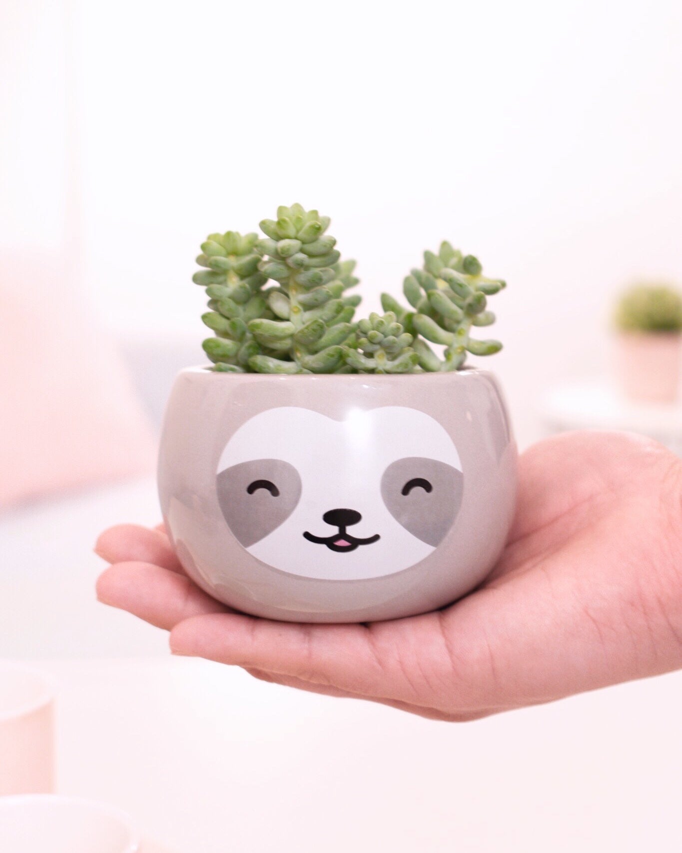 Sloth Plant Pot - Shopzoki