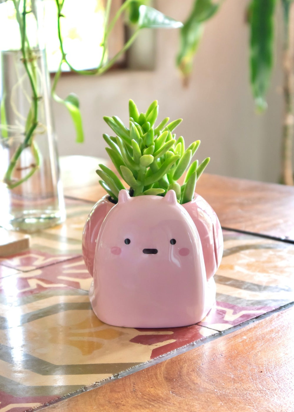 are snails good for potted plants Snail Planter – Shopzoki