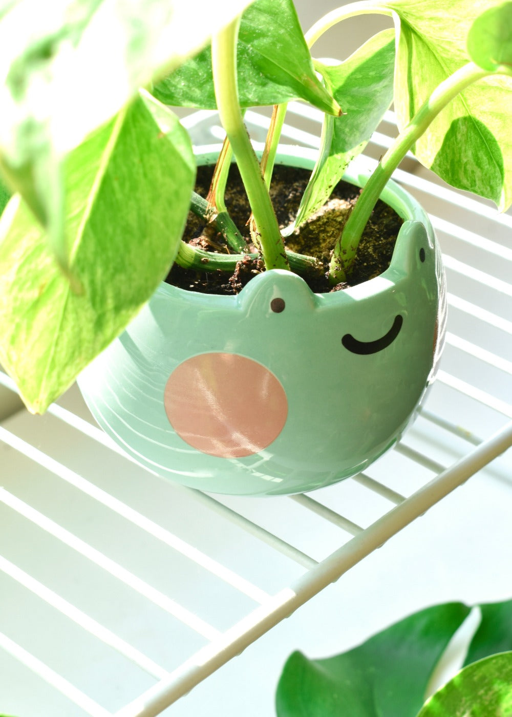 Cute Smile Planter Pot  Kawaii Face Planters with Drainage