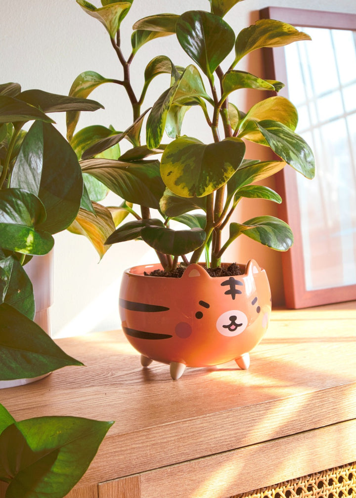 toki plant pot Tiger Planter – Shopzoki