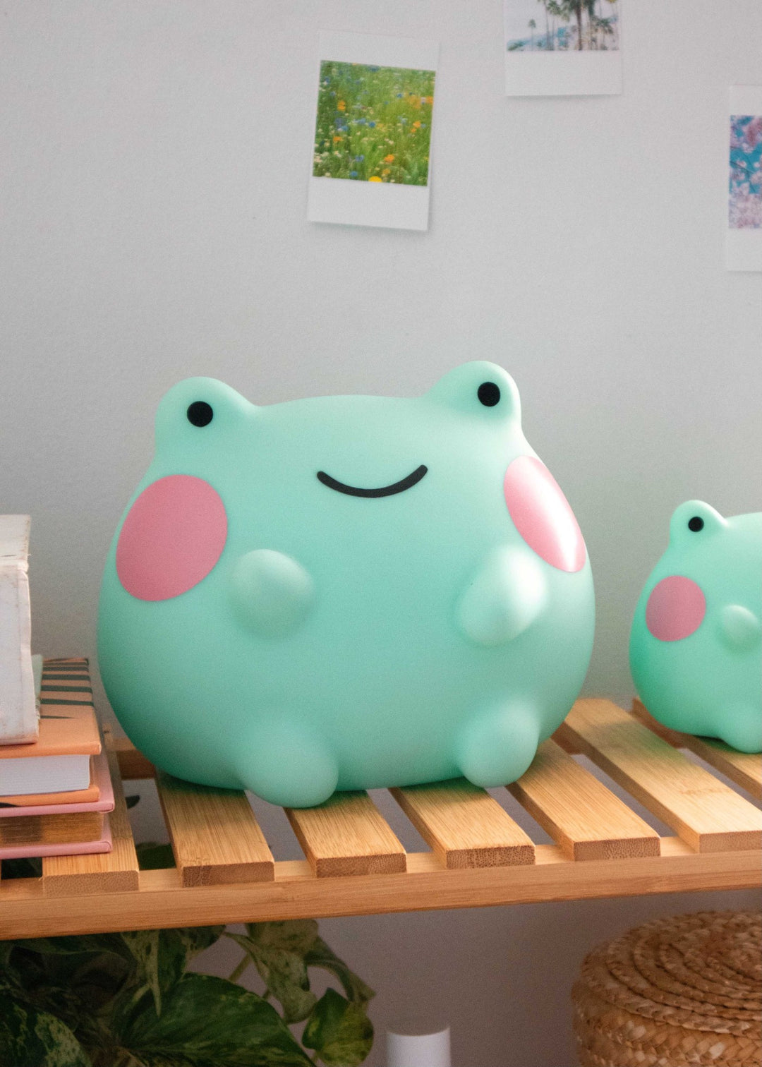 Big Ebbo Frog Night Light – Shopzoki