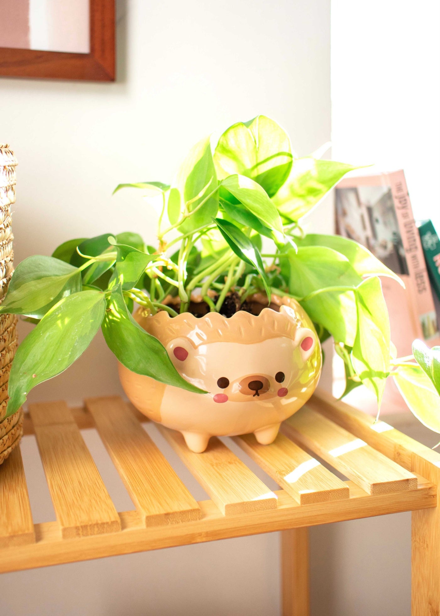 hedgehog planter pot Heji Hedgehog Planter