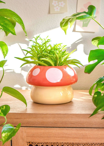 walmart mushroom hanging planter Mushroom Planter – Shopzoki