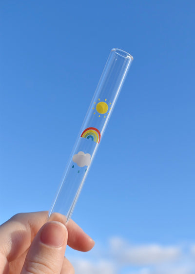 Rainbow Glass Straw - Shopzoki
