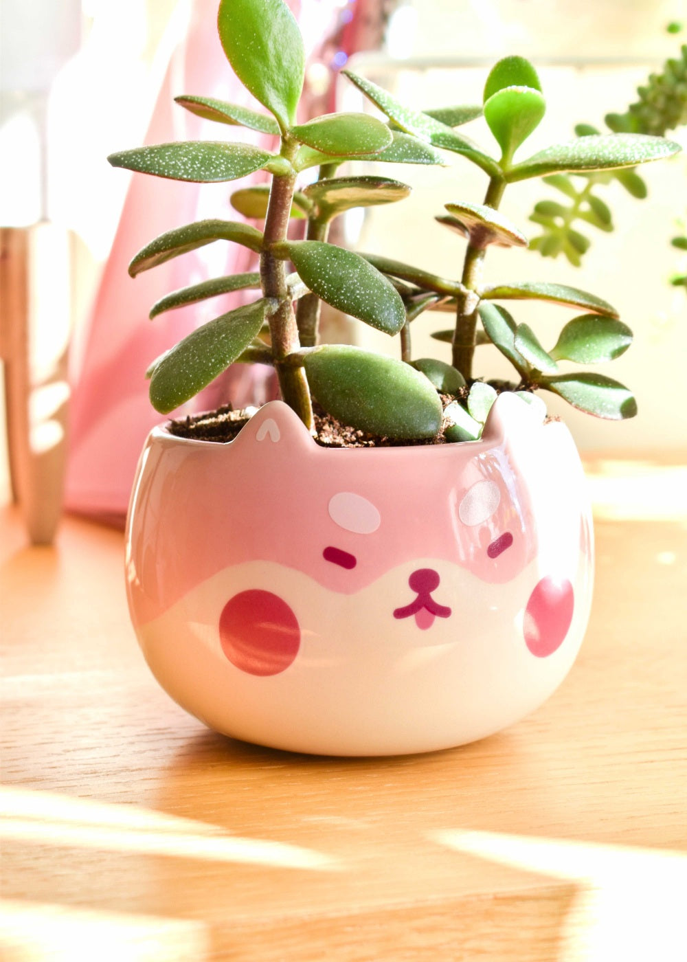 cute plant pots indoor Shiba Planter