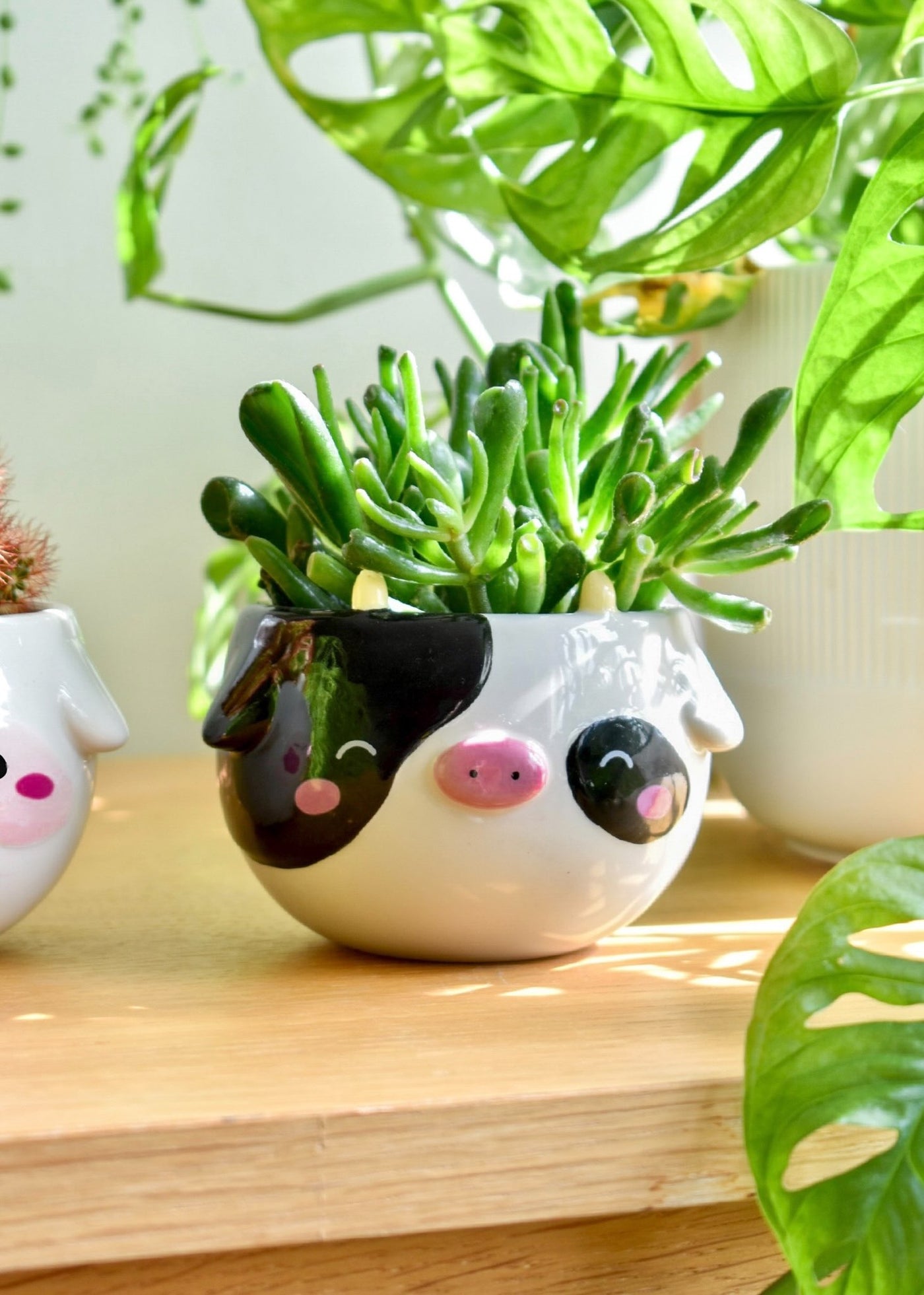 cow pot planter Cow Planter – Shopzoki