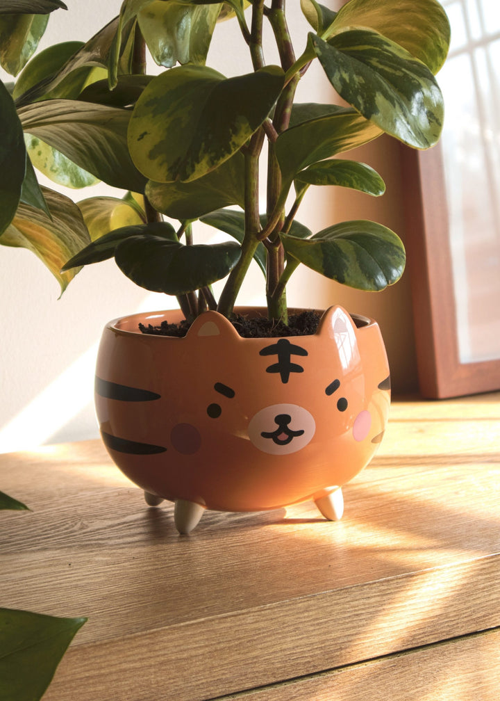 flying tiger plant pots Tiger Planter – Shopzoki